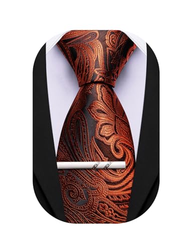 Image of Barry.Wang Paisley Tie for Men Silk Woven Necktie and Tie Clip Set Wedding Party Business Formal