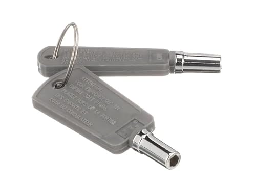 WR01X29793 Key Set Compatible With GE Freezers - Budora -
