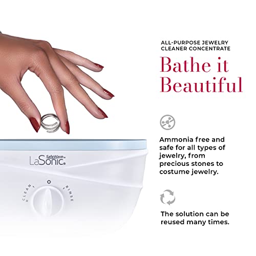 Northern Chill Connoisseurs All Purpose Jewelry Cleaner Concentrate Solution, Large, 8 Ounce #TOP2