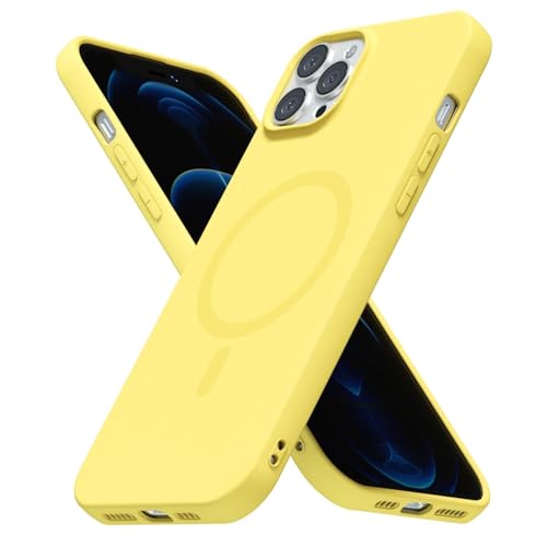 Coque MagSafe iPhone 12 Pro Max ultra fine anti-rayures mat