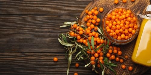 Sanddornpulver BIO 200 g I 100% Natürlich I Fruchtpulver aus Sanddornbeeren I aus kontrolierter Wildsammlung I Bio Leis