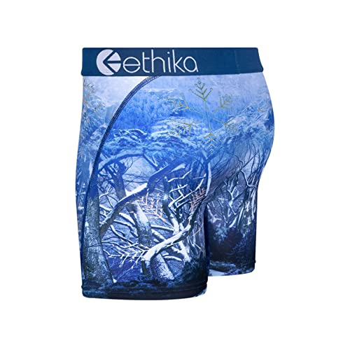 Ethika Men’s Mid Boxer Brief, 4-Way Stretch Performance Underwear with Graphic Prints – Arctic Vibes - Mid (BWH, XL)2