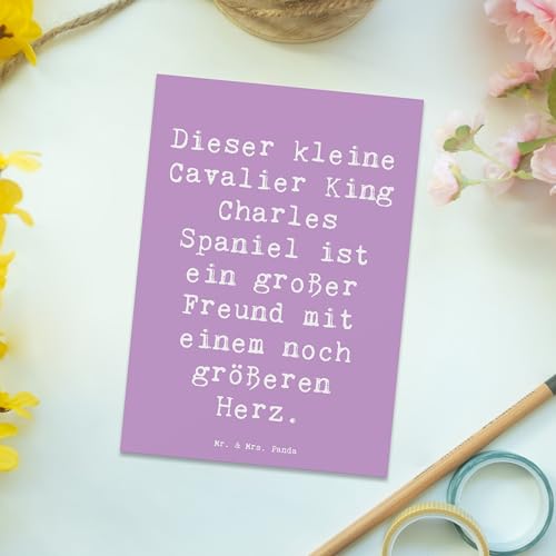 Mr. & Mrs. Panda Postkarte Spruch Cavalier King Charles Spaniel - Geschenk, Hunderasse, Hunderassen, Pflege, Familienmitglied, freundlich, Ansichtskarten, kompakt, charmant, Fotokarte, Ansichtskarte