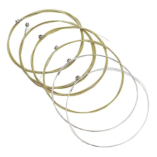 LIFKOME 6{ M^[̌̌ tH[NM^[̌ AR[XeBbNM^[ tH[NM^[pbN yM^[ ̃M^[ AR[XeBbNM^[Zbg x[XM^[̌ N