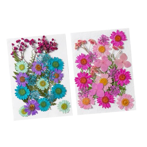 Flores Secas Artesanales 50pcs para Manualidades DIY miniatura 1