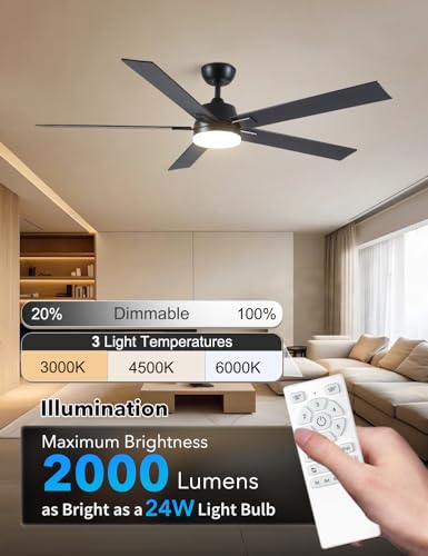 Image of Rayqueen 60 Inch Black Ceiling Fans with Lights and Remote,Includes Downrod