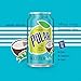 Polar Beverages Seltzer'ade Coconut Limeade, 12 fl oz cans, 8 pack