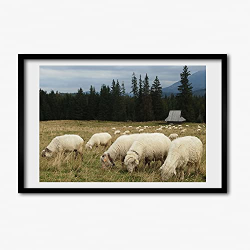 Tableau de peinture de moutons paissant sous cadre en bois moderne 60x40 cm aux finitions premium