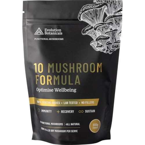 wellness chaga mushroom powder