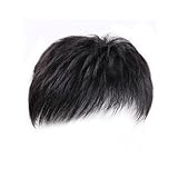 男性用ウィッグ パッチ 厚手 人毛 かつら ヘアーリプレイスメント プロテーゼ ヘアウィッグ 脱毛症 ナチュラル