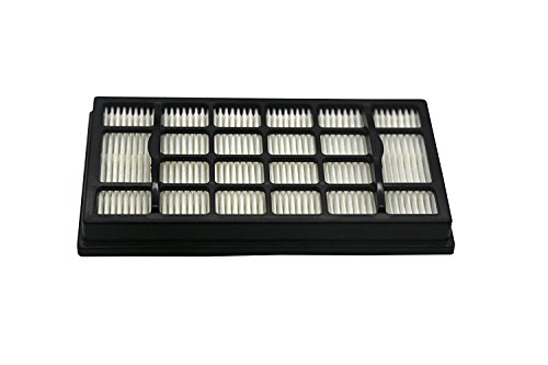 Green Label Filtro de Higiene de Escape para Aspiradoras Dirt Devil Infinity Excell y Proxima. Reemplaza a 5050002