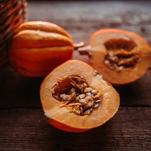 Gill's Golden Pippin Squash - 25 Acorn Squash Seeds, Thresh