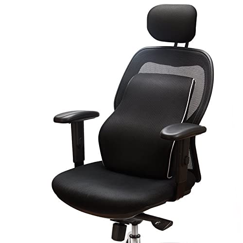 8 Best Lower Back Support For Chair In India (2023) True Buddy