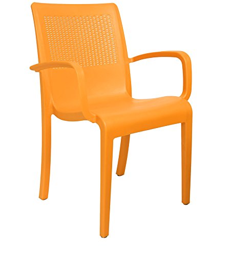 Image of CELLO Ecstasy Elegant Set of 6 Chairs (Amber Gold) | Strong and Durable | Easy to Clean | Chair for Living Room, Bed Room, Kitchen, Office Room, Outdoor | 3 Years Warranty