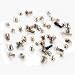 100% Genuine 53 pcs in 1 set Replacement Full Screw Set with Two Pentalobe Bottom Screws Original For iPhone 5C