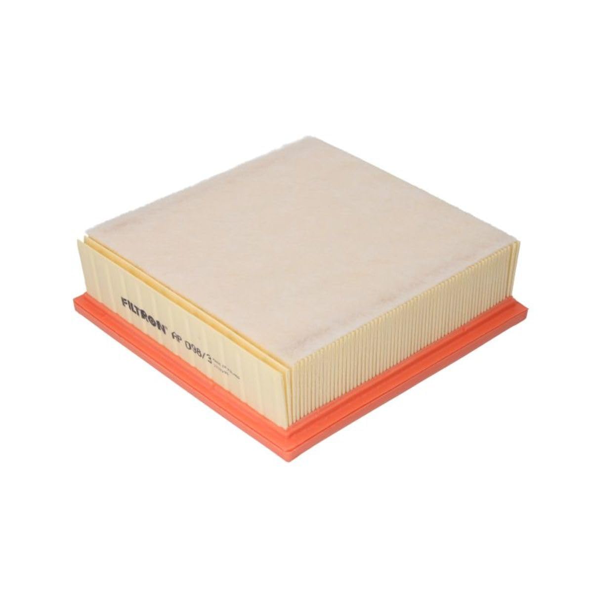 Filtron Luftfilter, AP098/3