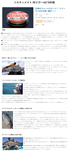 サンライン PEジガーULT PEJIGGER ULT 8本組 3号50LB 色分け 10m×5色 100m単価 連結可 3枚目