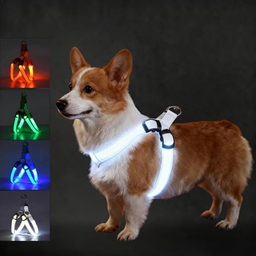 ���p���� ���^��/���^��/��^�� ���錢�p�n�[�l�X ��������h�~ �y�b�g�p�i LED�����\ ���d�r�� �T�C�Y�����\ �����Ȃ� �ʋC�� ���E�ȒP ������� �����p �P�� ���s�⏕ �V���v�� �铹 �U�� ���S-��L