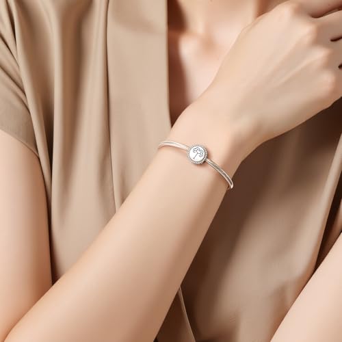 Breloque en argent 925 compatible bracelets originaux sans ternir ni s'accrocher