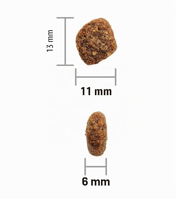 Foto 4 de 4 de Pienso para Perro OWNAT Author Grain Free Rooster 3 kg