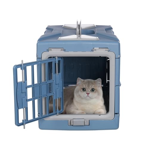 Boîte portable pour animaux bleu gris pour excursions et soins