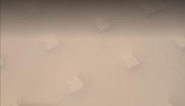 Review Image by Kim Kim