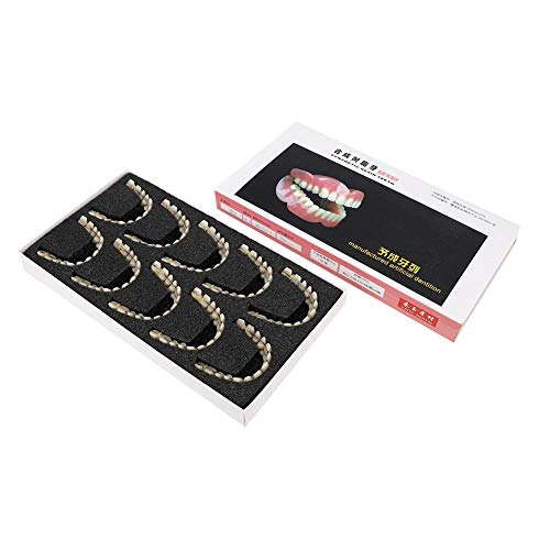 ZJchao 280pcs/10 Set Resin Denture False Teeth, Dental Teeth Teaching Model, Resin Denture for Patients with Oral Cavity Loss, Dental Supply Accessory