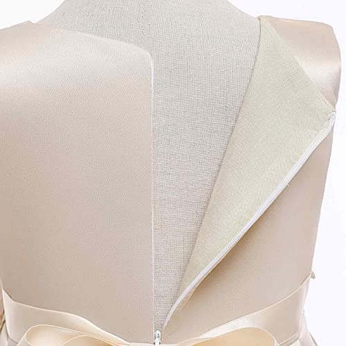 Party Dresses for Girls 10 12: Cozy Stretch Exquisite Flower Girl Dress Minimalist Holiday Dresses for Girls3
