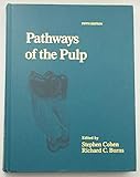 Pathways of the Pulp