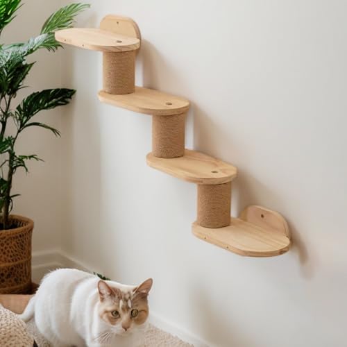 Échelle murale pour chat pour libérer de l'espace au sol et amuser votre animal