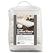 ForPro Premium Quilted Fleece Table Pad Set, Natural, Extra Soft, Hypoallergenic, for Massage Tables, Includes Massage Table Pad and Face Rest Cover