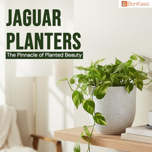 Image of Bonkaso 8 Inch Jaguar Planter for Indoor & Outdoor Use | Round Heavy Duty Polymer Flower Pot | Lightweight Weather Resistant Modern Gamla for Living Room Balcony & Terrace (White)