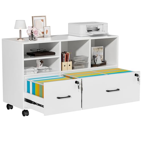 kepptory 2-Drawer Rolling Storage