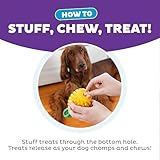 Outward Hound Planet Dog Dental Ananas Dental Chew Toy and Interactive Treat Stuffer Durable Dog Toy Stuffable Dog Toy, Yellow