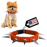 CoyoteCollar Spiked Dog Collar - Orange Small Spike Collar for Dogs, Adjustable Spiked Collar, Studded Dog Spike Collar, and Coyote Collar for Protection Against Coyotes and Aggressive Dogs