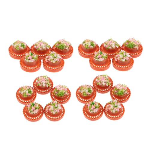 LAPYAPPE 20XP[ ͌^p^ی^Aؔ yɔzu\Ȍyʑf ~j`Ah[nEX̌iϑ