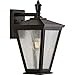 Progress Lighting Cardiff Collection 1-Light Clear Seeded Glass New Traditional Outdoor Medium Wall Lantern Light Antique Bronze