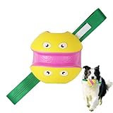 Plaisir de jeu interactif : en encourageant les chiens à participer à des activités de traction, de rapport et de course, cette balle pour chien renforce les liens émotionnels avec les propriétaires et garantit que les chiots énergiques restent heureux, que ce soit à l'intérieur les jours de pluie ou à l'extérieur dans des espaces ouverts.
