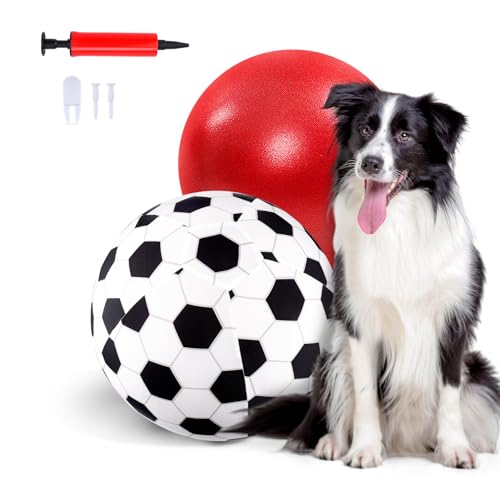 Juome Herding Ball for Dogs, 10