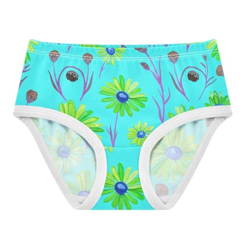 Green Daisies Wildflowers Blue Girls Underwear Toddler 2t Cotton Girl Panties Cute Florals Briefs Underpants