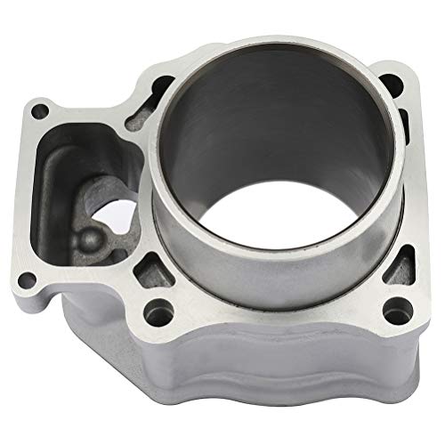 Cciyu Top End Rebuild Kit Cylinder Piston Rings And Gasket Replacement Fit For Honda Rancher 420 Trx420 2007-2018 Cylinder Head #TOP3