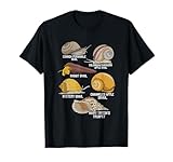 Water Snail Gifts For Water Snail Lovers