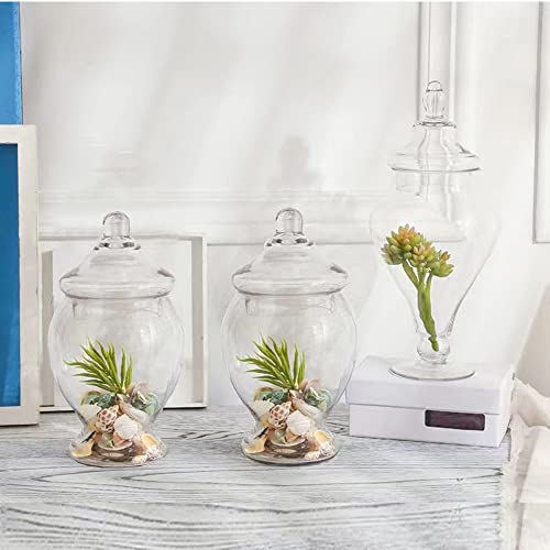 Livejun Glass Apothecary Jars 45 Ounce Decorative Candy Cookie Jars ，Clear Elegant Storage Jar With Lids Canisters Sets For The Kitchen Wedding Home Centerpiece Candy Buffet Set Of 2 #TOP4