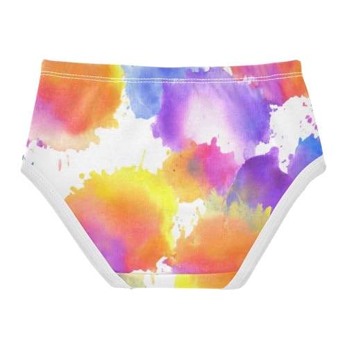 Cotton Toddler Underwear Floral Abstract Watercolor Panties Little Girl Fun Underpants Briefs 2t2