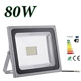 20W 30W 50W 80W Blanco Frío & Blanco Cálido Luz Proyector LED Foco proyector, IP65 Impermeable Resistencia (80w luz blanca fría)