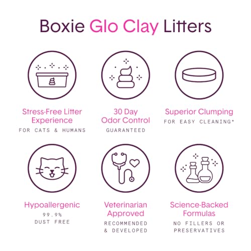 Boxie® Glo™ Natural Attractions™ 30 Day Odor Control Clumping Cat Litter, 16lb Boxiecat 99.9% Dust Free Clay Kitty Litter