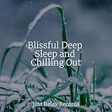Just Relax Records