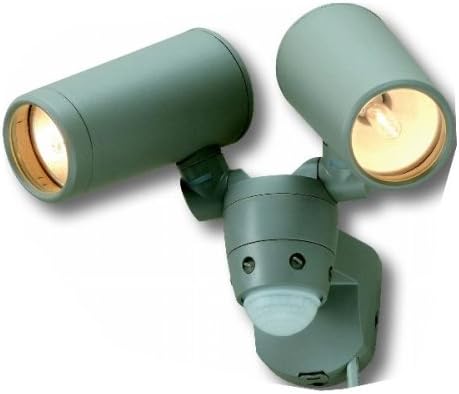high-performance halogen sensor light 100W halogen lamp type 2 EX-200 ( silver gray )