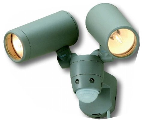 high-performance halogen sensor light 100W halogen lamp type 2 EX-200 ( silver gray )