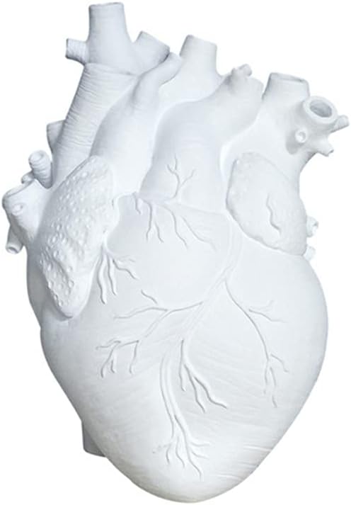 N / B Anatomical Heart Vase Creative Resin Flower Pot, Shape Countertop Desktop Ornament Home Shelf Table Décor Birthday Gift for Men Women White